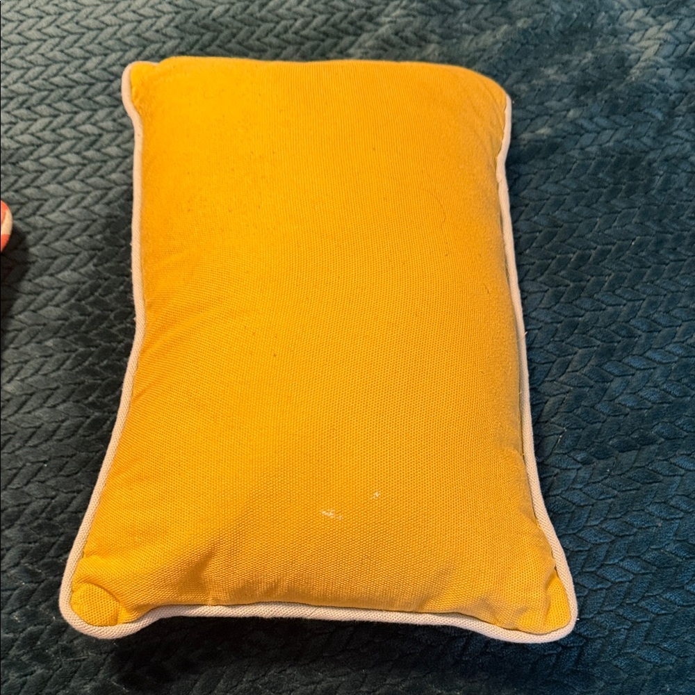 Target Insect Print Pillows - Picture 5 of 5